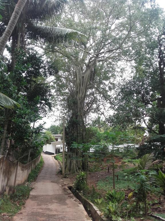 Disna Place Unawatuna Luaran gambar